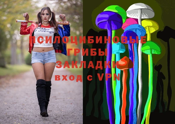 эйфоретик Беломорск