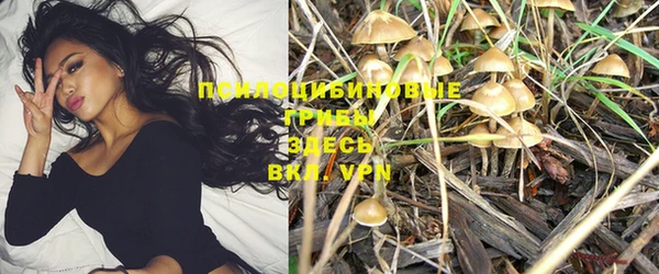 амф Белокуриха