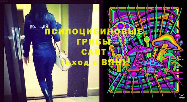 эйфоретик Беломорск