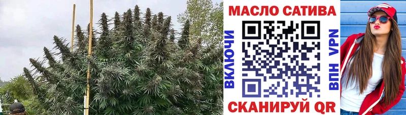 закладки  Бокситогорск  ТГК гашишное масло 